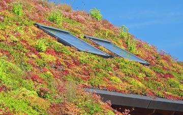 Gainfield living roof systems