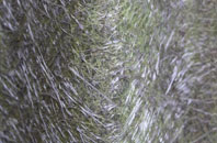 Gainfield fibreglass roof work